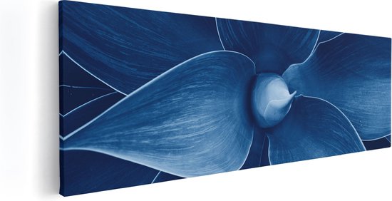 Artaza Canvas Schilderij Blauwe Agave Plant - Bloem - 120x40 - Groot - Foto Op Canvas - Canvas Print