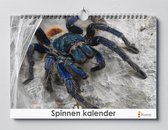Cadeautip! Spin kalender 35x24 cm | Spin verjaardagskalender |Spinnen wandkalender| Kalender 35 x 24 cm