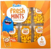 Fundiez Fresh Mints Sinaasappelsmaak 6x15g