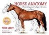 Horse Anatomy 2e