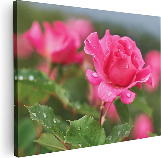 Artaza - Peinture sur toile - Rose rose avec des gouttes d'eau - 80x60 - Photo sur toile - Impression sur toile