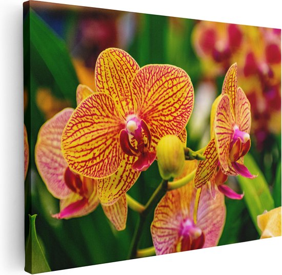 Artaza Canvas Schilderij Geel Rode Orchidee Bloemen - 80x60 - Foto Op Canvas - Canvas Print