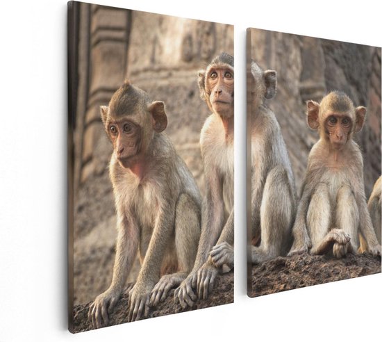 Artaza Canvas Schilderij Tweeluik Drie Kleine Apen Naast Elkaar - 80x60 - Foto Op Canvas - Canvas Print
