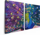 Artaza - Peinture sur toile Diptyque - Paon avec des Ressorts colorées à l'huile - Abstrait - 120x80 - Photo sur toile - Impression sur toile