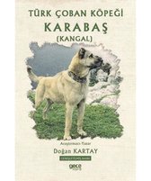 Türk Çoban Köpeği Karabaş Kangal