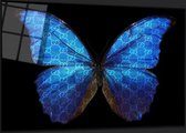 Blackarts - Schilderij - Butterfly Gc Plexiglas+forex Top Kwaliteit - Multicolor - 80 X 120 Cm