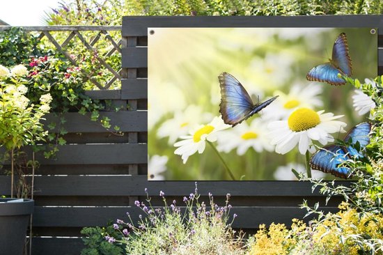 Poster de jardin Fleurs - Papillons - Été - 120x80 cm - Jardin