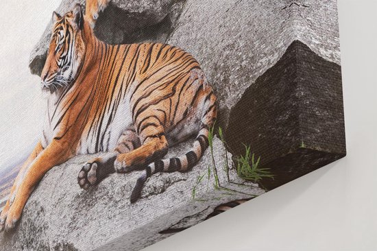 Artaza - Peinture sur toile - Deux tigres sur des rochers avec le ciel bleu - 120 x 60 - Groot - Photo sur toile - Impression sur toile