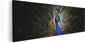 Artaza Toile Peinture Paon Bleu Avec De Grosses Ressorts - 90x30 - Photo Sur Toile - Impression Sur Toile