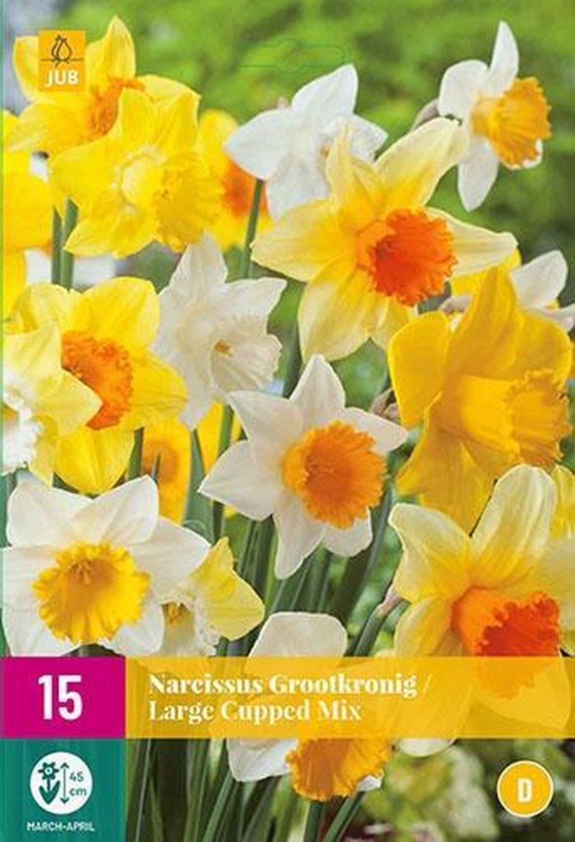 Jub Holland - bloembollen - Narcissen Grootkronig Mix - maat 12/14 - 15 stuks