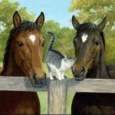 Diamond Painting Volwassenen - Paarden - Volledig - Ronde Steentjes - 20 x 30 CM