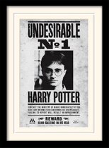 Poster - Harry Potter Mounted & Undesirable No - 40 X 30 Cm - Multicolor