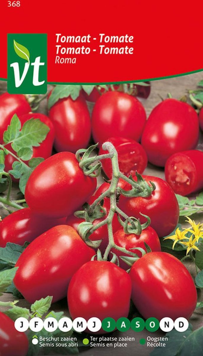 Roma Tomaatzaden voor Tuin en Kas - Langwerpige en Sappige Vruchten, Ideaal voor Thuis Tuinieren, Zaai & Kweek Je Eigen Heerlijke Tomaten - 0,5g - Zaden/g 300