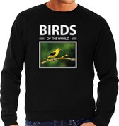 Dieren foto sweater Wielewaal - zwart - heren - birds of the world - cadeau trui vogels liefhebber L