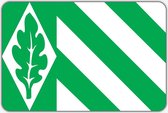 Vlag Vriezenveen - 200 x 300 cm - Polyester