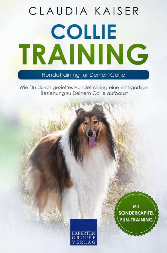 Collie Training – Hundetraining für Deinen Collie - cover