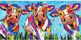 Diamond Painting Set Volwassenen - 60 x 30 cm - Dieren - Nieuwsgierige Koeien - Vierkante Steentjes - Volledig Pakket