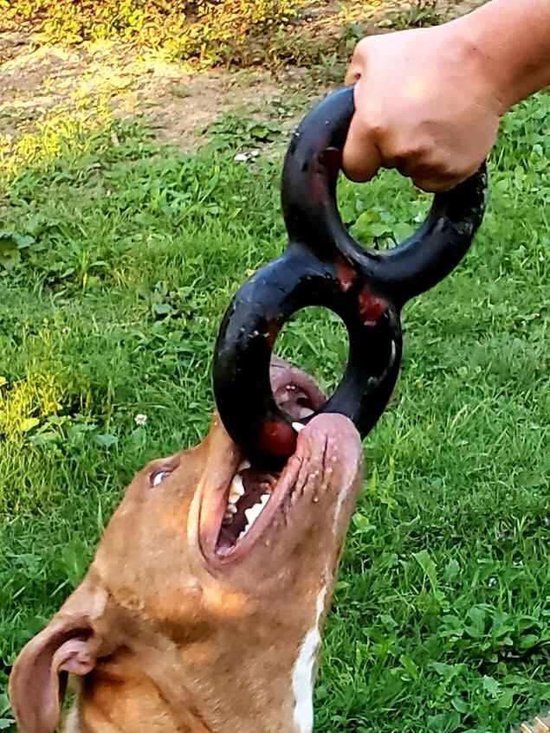 Goughnuts-Tug-sterk hondenspeelgoed- levenslange fabrieksgarantie-Heavy Duty-xl