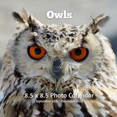 Owls 8.5 X 8.5 Calendar September 2021 -December 2022