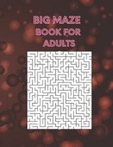 Big Maze Book For Adults