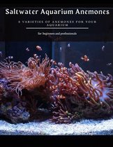 Saltwater Aquarium Anemones