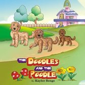 The Doodles and the Poodle