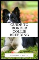 Guide to Border Collie Breeding