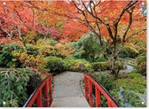 SCHUTTINGPOSTER Poster - Landschap-rode Japanse Brug-herfst - 65 X 90 Cm - Multicolor