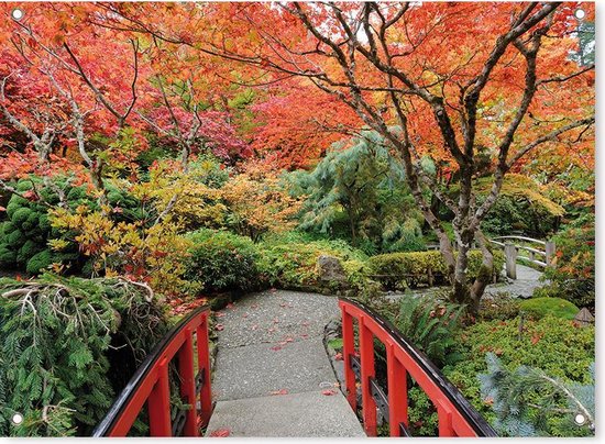 Foto: Schuttingposter poster landschap rode japanse brug herfst 65 x 90 cm multicolor