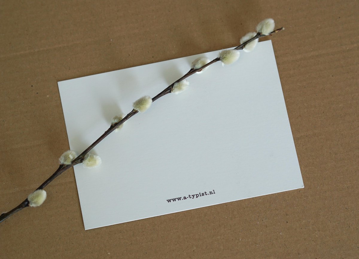 Steuntje in de rug-wenskaarten (beterschapskaarten) | bol