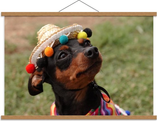 Schoolplaat – Hond met Mexicaanse Sombrero - 90x60cm Foto op Textielposter (Wanddecoratie op Schoolplaat)