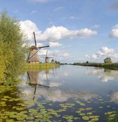 FotobehangMolens Kinderdijk 250 x 260 cm - € 175,--