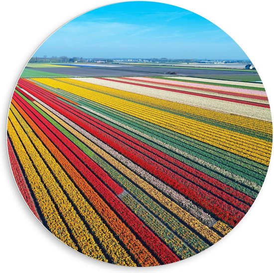 Forex Wandcirkel - Tulpenvelden in Zonnig Nederland - Foto op Wandcirkel (met ophangsysteem)