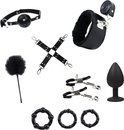 Bovenaanzicht van BDSM-accessoires: gag ball, kraag, kietelveer, kruisbanden, tepelklemmen, plug en ringen.