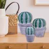 Decoratief Beeld - Set Decoratie Cactussen. Sier. Kado - Keramiek - Sweet Lake Collection - Wit En Grijs - 13 X 13 Cm