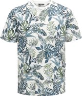 Only & Sons Only & Sons Melody Life T-shirt - Mannen - wit - groen - blauw