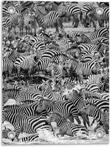 Tuinposter – Grote Kudde Zebra's (zwart/wit) - 30x40cm Foto op Tuinposter  (wanddecoratie voor buiten en binnen)