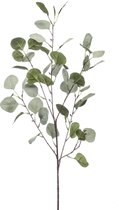 Viv! Home Luxuries Eucalyptus - zijden bloem - grijs groen - 87cm - topkwaliteit