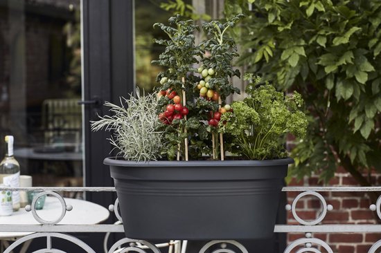 Elho Green Basics Flower Bridge 55 - Plantenbak voor Balkon Buiten - Ø 54.5 x H 22.8 cm - Living black