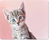 Muismat Katten  - Kitten met blauwe ogen op roze achtergrond muismat rubber - 23x19 cm - Muismat met foto