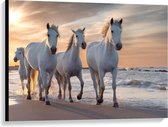 Canvas  - Witte Paarden op het Strand - 100x75cm Foto op Canvas Schilderij (Wanddecoratie op Canvas)