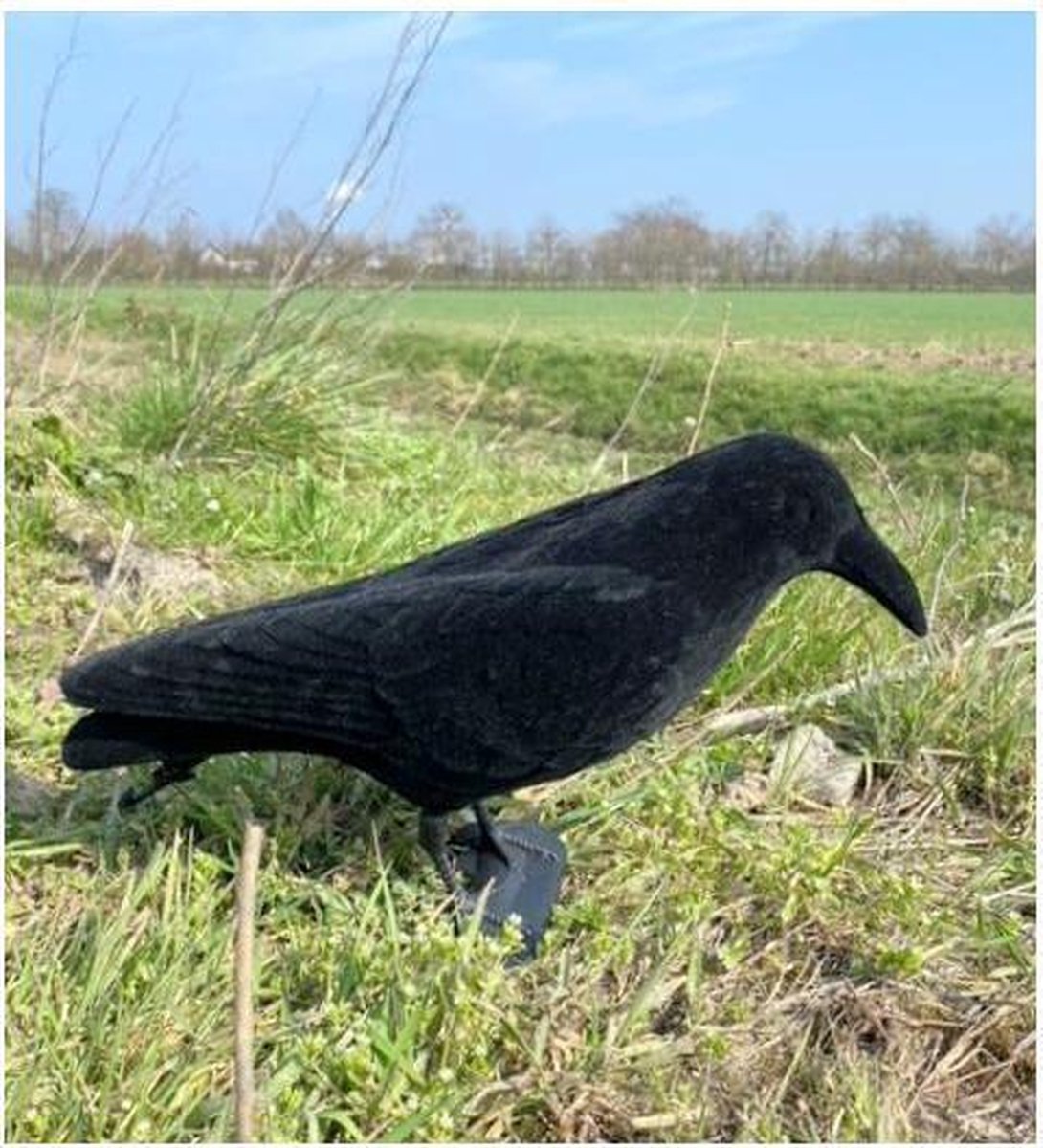 3x zwarte XL kraai - vogelverschrikker - Halloween decoratie - ProLoo 3x nep kraai 41cm incl. grondpin zwart plastic geflockt -diervriendelijke duivenverjager - vogelverschrikker