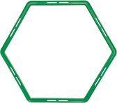 Hexagonale Hoepels 6 Stuks Groen