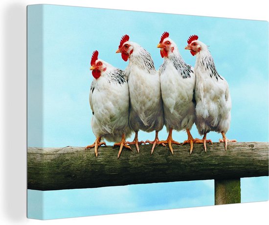 Canvas Schilderijen - Vier kippen op een hek - Wanddecoratie