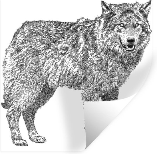 Muursticker Wolven illustratie -illustratie vanstaande wolf - 50x50 cm -  zelfklevend... | bol.com