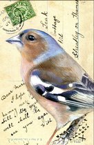 Dubbele kaart met env. Vink 11,5x17,5cm