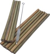 Bamboe Rietjes - 10 stuks - Inclusief schoonmaakborstel - oDaani