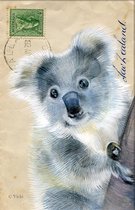 Dubbele kaart met env. Koala 11,5x17,5cm