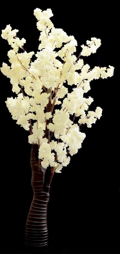 Witte Japanse bloesemboom – Bloesem – 1,80 Meter – Wit Kleur