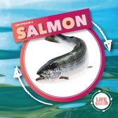 Life Cycle of A...- Life Cycle Of A Salmon